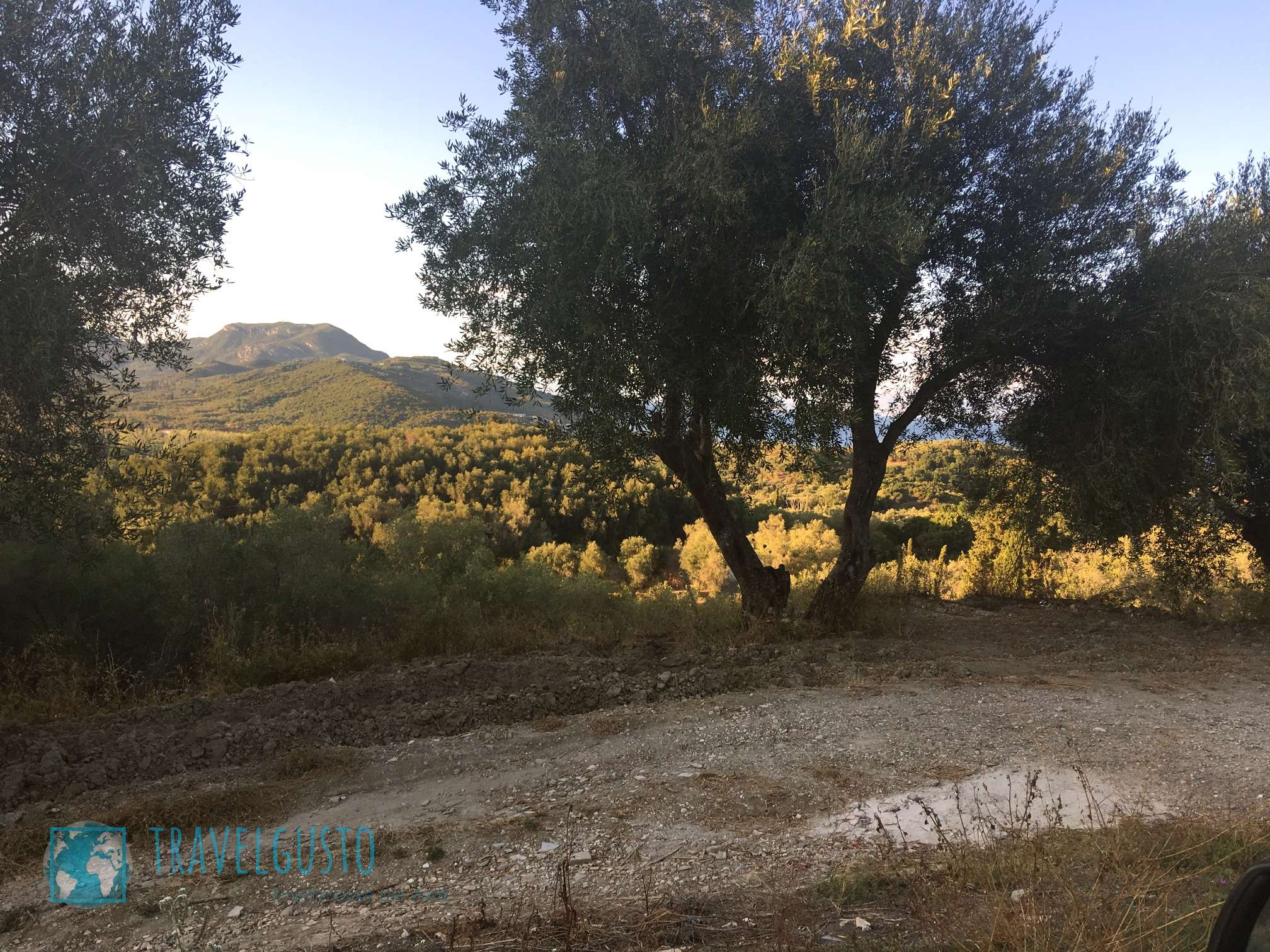 Mavroudis Olivenöl aus Korfu